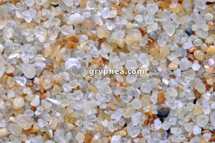 Sable quartzeux - Plage de La Baule (Loire Atlantique) x3 - gryphea.com